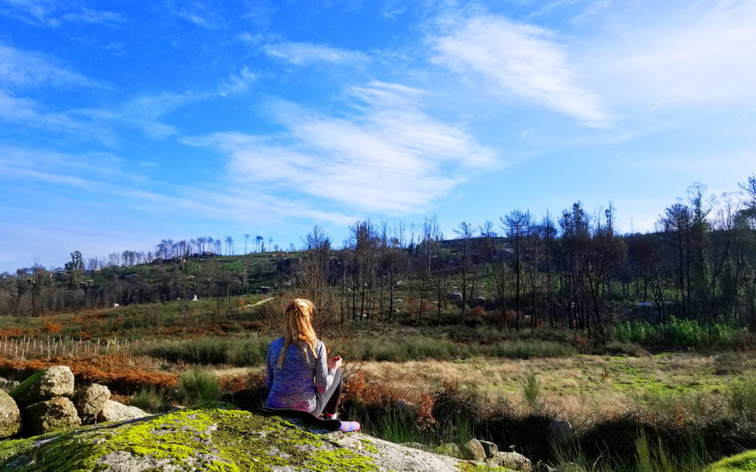 Three Types of Meditation