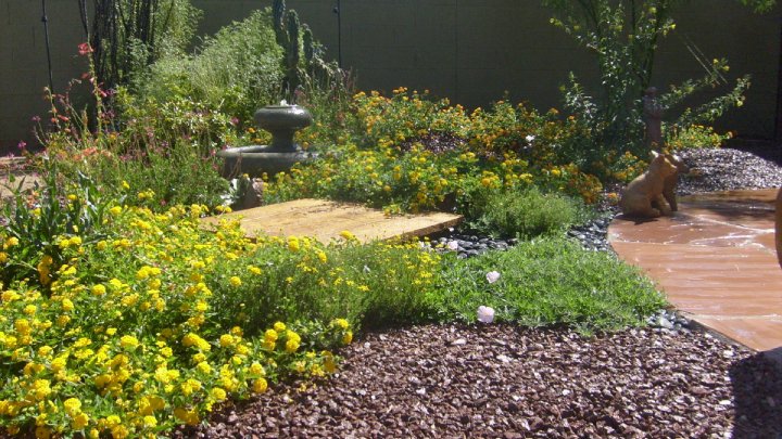 Re-Imagine Your Garden Space