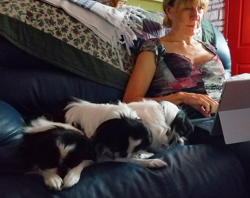 Joanie on laptop and the Japanese Chin girls